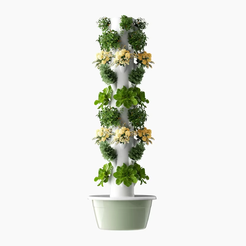 ระบบปลูกพืชแบบไฮโดรโปนิกส์แบบโ - Urban Farming Hydroponic System บทวิจารณ์และราคา